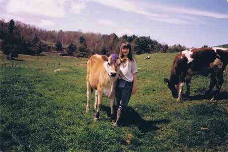 10 Steps for Calf Care on a Small-Herd Micro Dairy Image